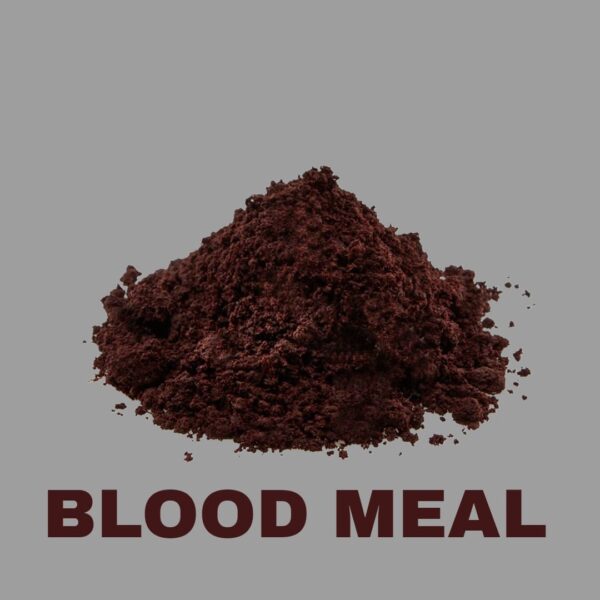Blood Meal for Plants