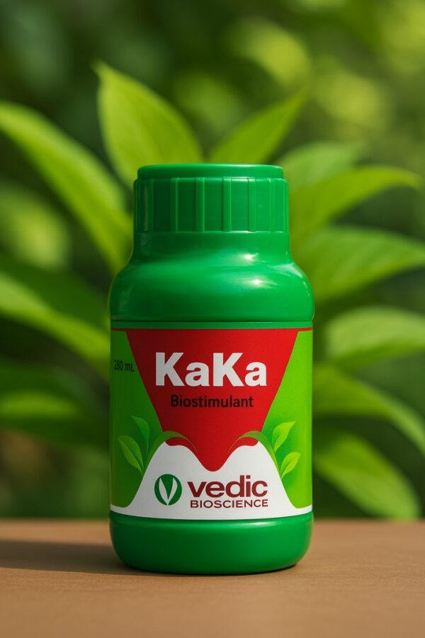 kaka