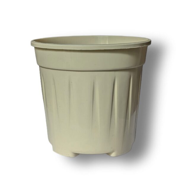 Light Cream Pots